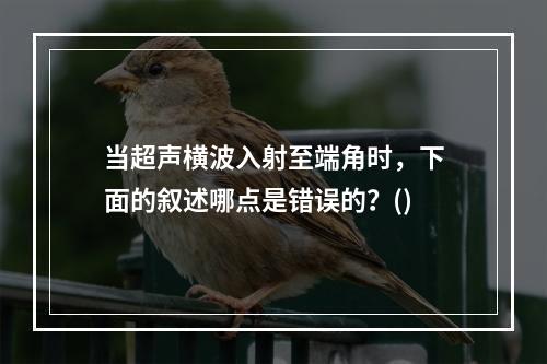 当超声横波入射至端角时，下面的叙述哪点是错误的？()