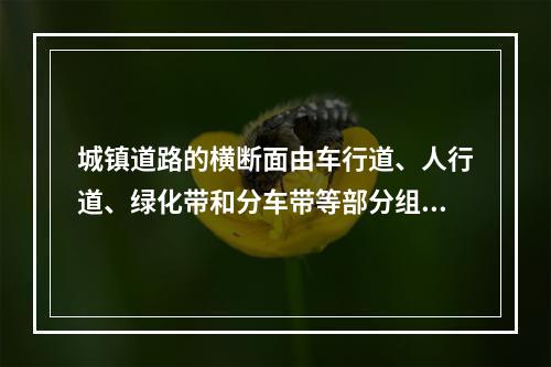 城镇道路的横断面由车行道、人行道、绿化带和分车带等部分组成。