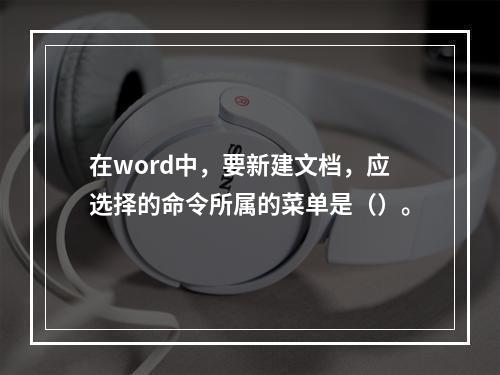 在word中，要新建文档，应选择的命令所属的菜单是（）。