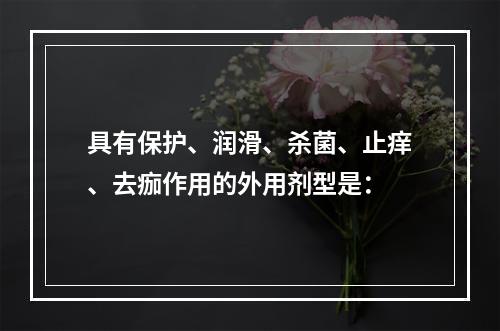 具有保护、润滑、杀菌、止痒、去痂作用的外用剂型是：