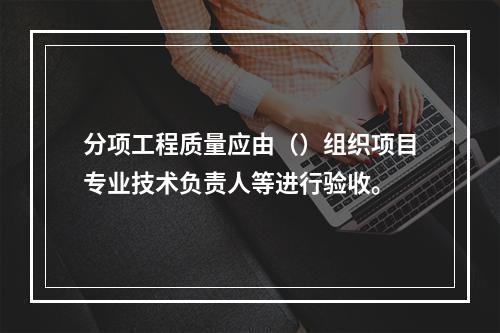 分项工程质量应由（）组织项目专业技术负责人等进行验收。