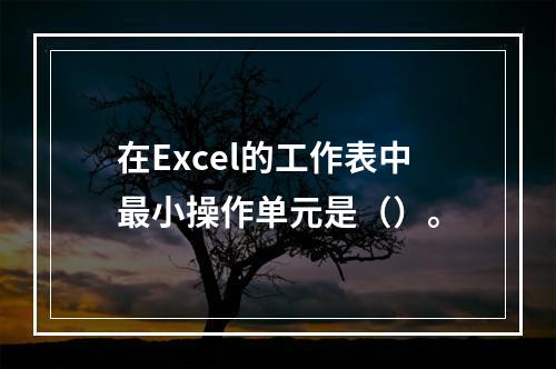 在Excel的工作表中最小操作单元是（）。