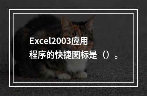 Excel2003应用程序的快捷图标是（）。