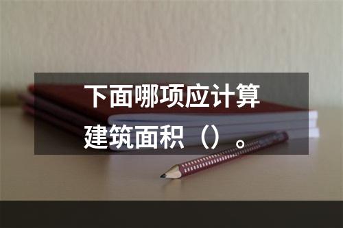 下面哪项应计算建筑面积（）。