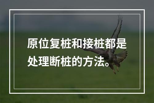 原位复桩和接桩都是处理断桩的方法。