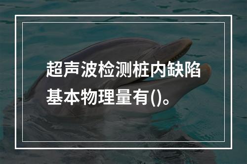 超声波检测桩内缺陷基本物理量有()。