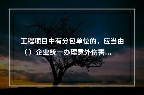 工程项目中有分包单位的，应当由（ ）企业统一办理意外伤害保险