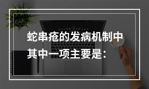 蛇串疮的发病机制中其中一项主要是：