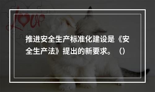 推进安全生产标准化建设是《安全生产法》提出的新要求。（）