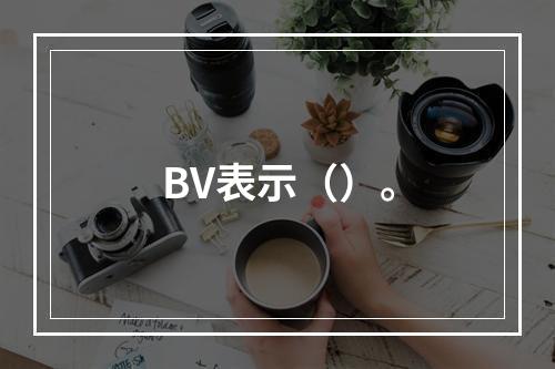 BV表示（）。