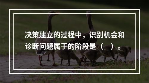 决策建立的过程中，识别机会和诊断问题属于的阶段是（　）。