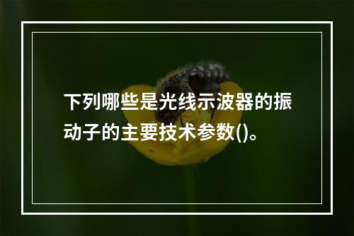 下列哪些是光线示波器的振动子的主要技术参数()。