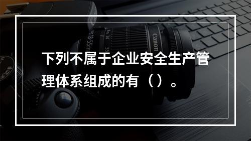 下列不属于企业安全生产管理体系组成的有（ ）。