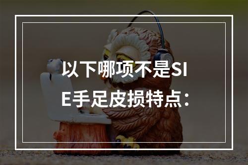 以下哪项不是SIE手足皮损特点：