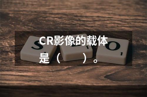 CR影像的载体是（　　）。