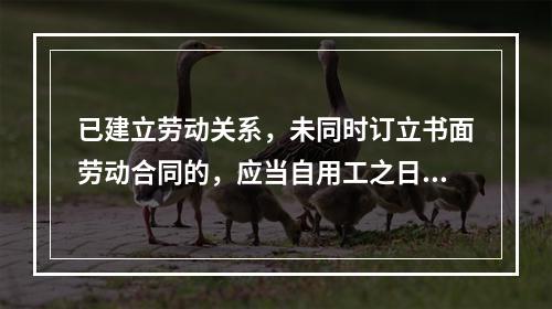 已建立劳动关系，未同时订立书面劳动合同的，应当自用工之日起（