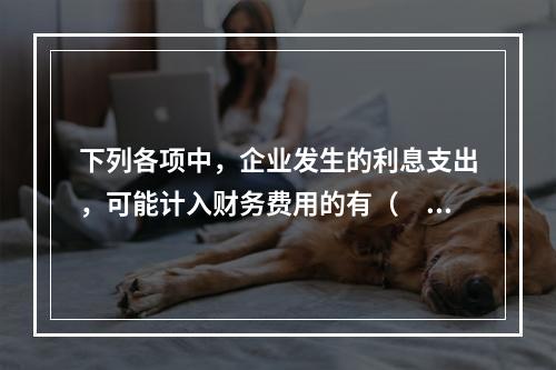 下列各项中，企业发生的利息支出，可能计入财务费用的有（　）。