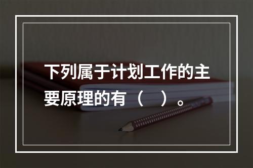 下列属于计划工作的主要原理的有（　）。