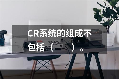 CR系统的组成不包括（　　）。