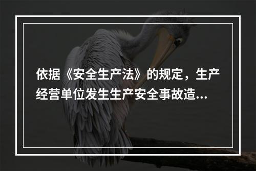 依据《安全生产法》的规定，生产经营单位发生生产安全事故造成人