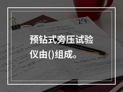 预钻式旁压试验仪由()组成。