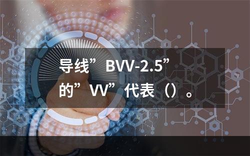 导线”BVV-2.5”的”VV”代表（）。