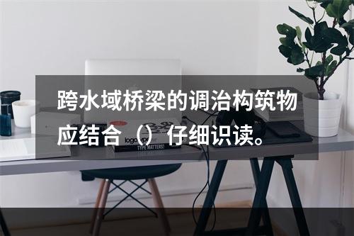 跨水域桥梁的调治构筑物应结合（）仔细识读。