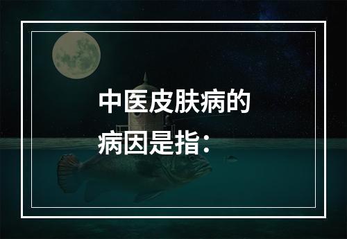 中医皮肤病的病因是指：