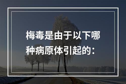 梅毒是由于以下哪种病原体引起的：