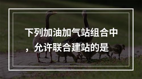 下列加油加气站组合中，允许联合建站的是