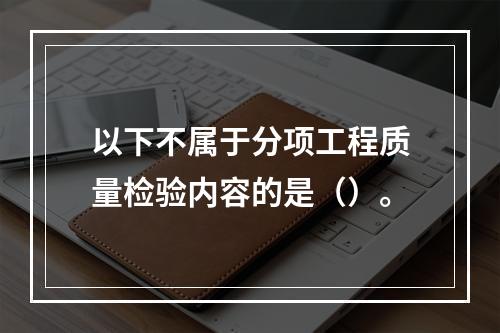 以下不属于分项工程质量检验内容的是（）。