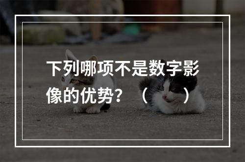 下列哪项不是数字影像的优势？（　　）