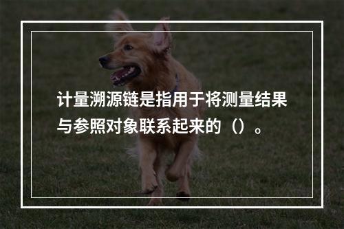 计量溯源链是指用于将测量结果与参照对象联系起来的（）。