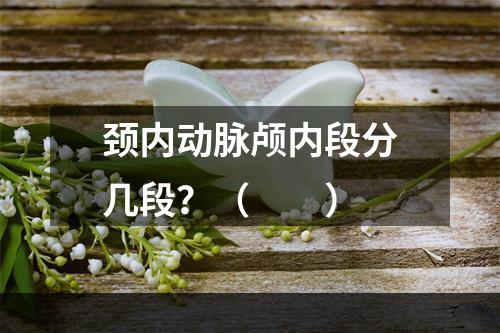 颈内动脉颅内段分几段？（　　）