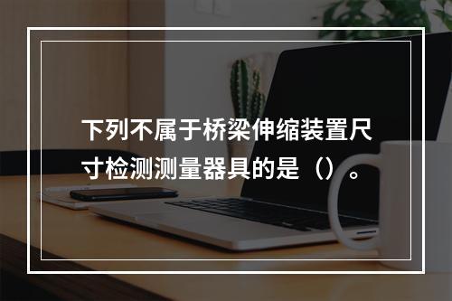 下列不属于桥梁伸缩装置尺寸检测测量器具的是（）。