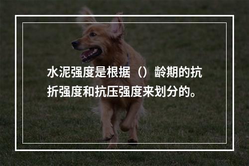 水泥强度是根据（）龄期的抗折强度和抗压强度来划分的。