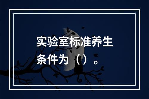 实验室标准养生条件为（ ）。