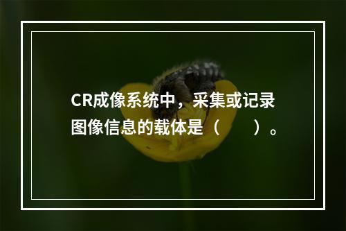 CR成像系统中，采集或记录图像信息的载体是（　　）。