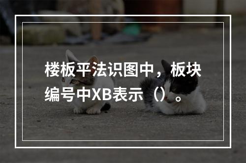 楼板平法识图中，板块编号中XB表示（）。