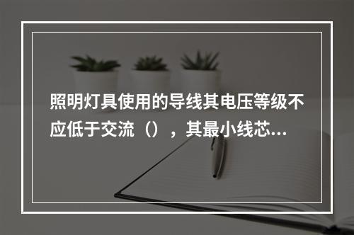 照明灯具使用的导线其电压等级不应低于交流（），其最小线芯截面