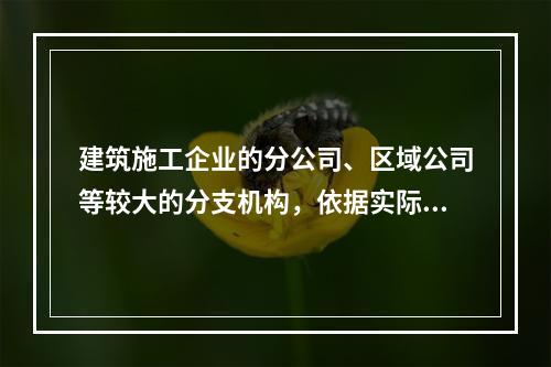 建筑施工企业的分公司、区域公司等较大的分支机构，依据实际生产