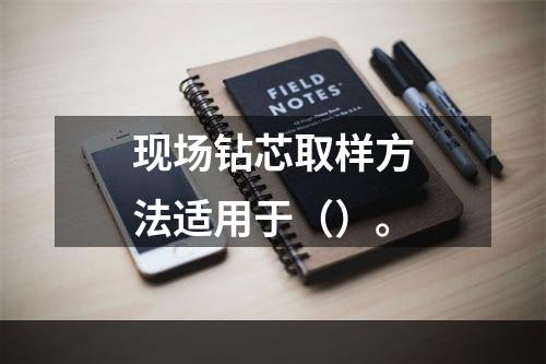 现场钻芯取样方法适用于（）。