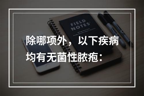 除哪项外，以下疾病均有无菌性脓疱：