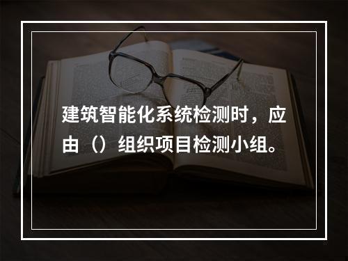 建筑智能化系统检测时，应由（）组织项目检测小组。