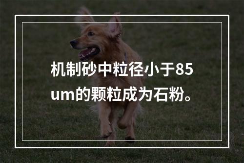 机制砂中粒径小于85um的颗粒成为石粉。