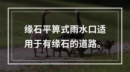 缘石平箅式雨水口适用于有缘石的道路。