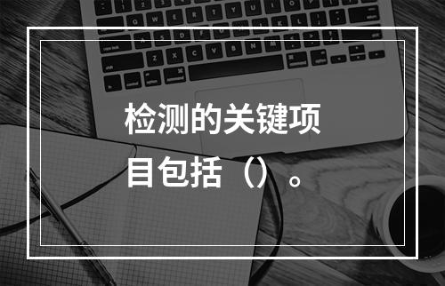 检测的关键项目包括（）。