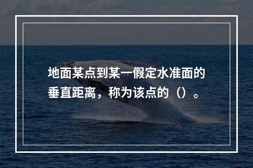 地面某点到某一假定水准面的垂直距离，称为该点的（）。