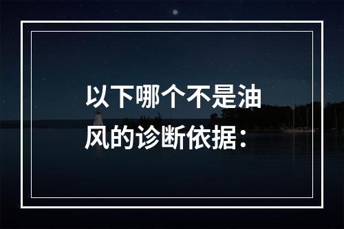 以下哪个不是油风的诊断依据：