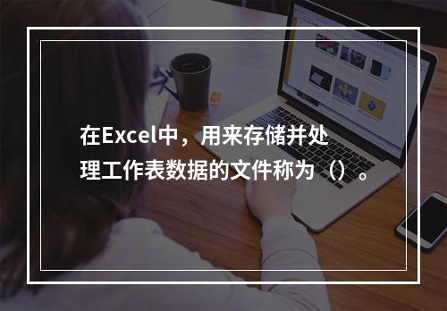 在Excel中，用来存储并处理工作表数据的文件称为（）。